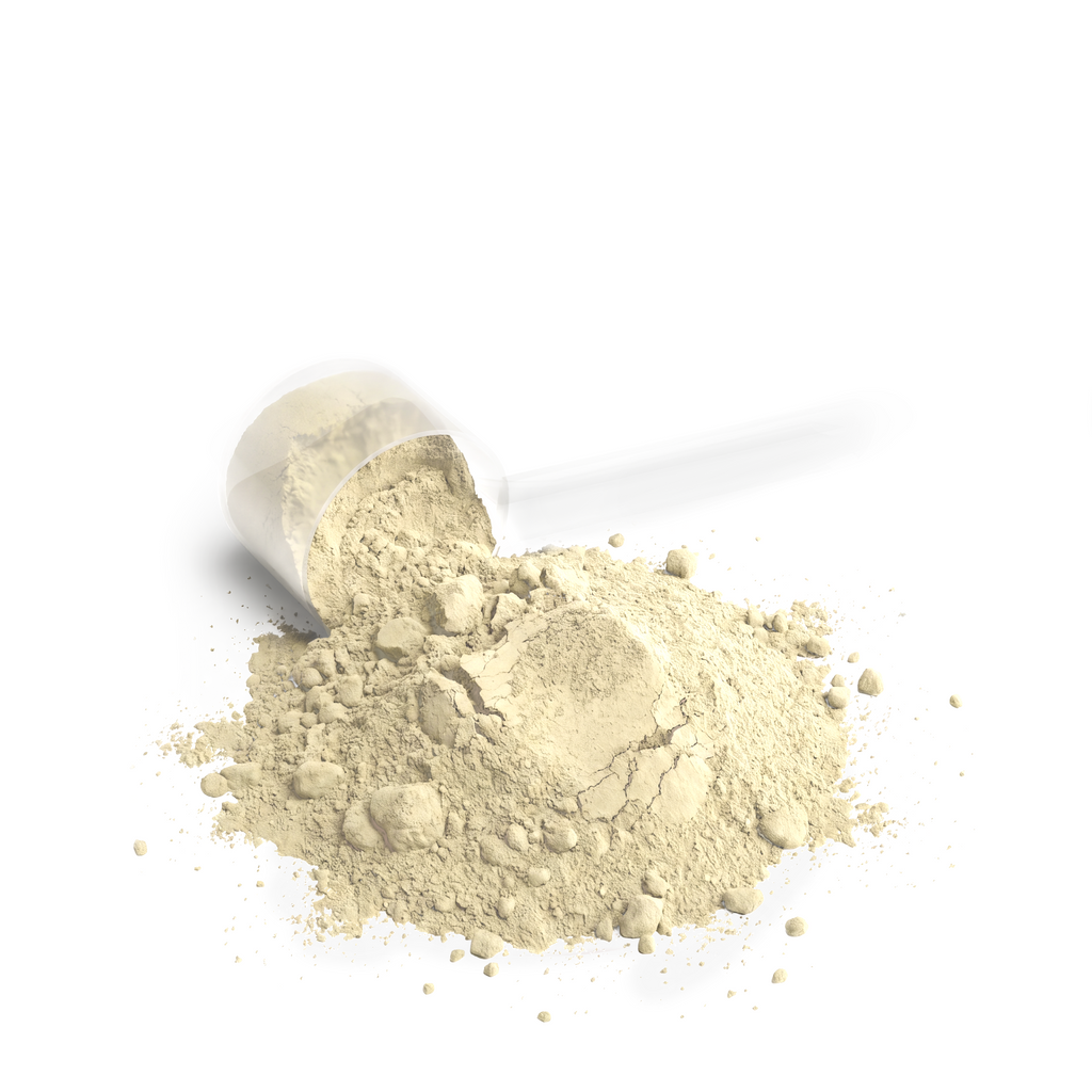 KARENZA™ Elite Performance Whey Protein Blend (Vanilla)